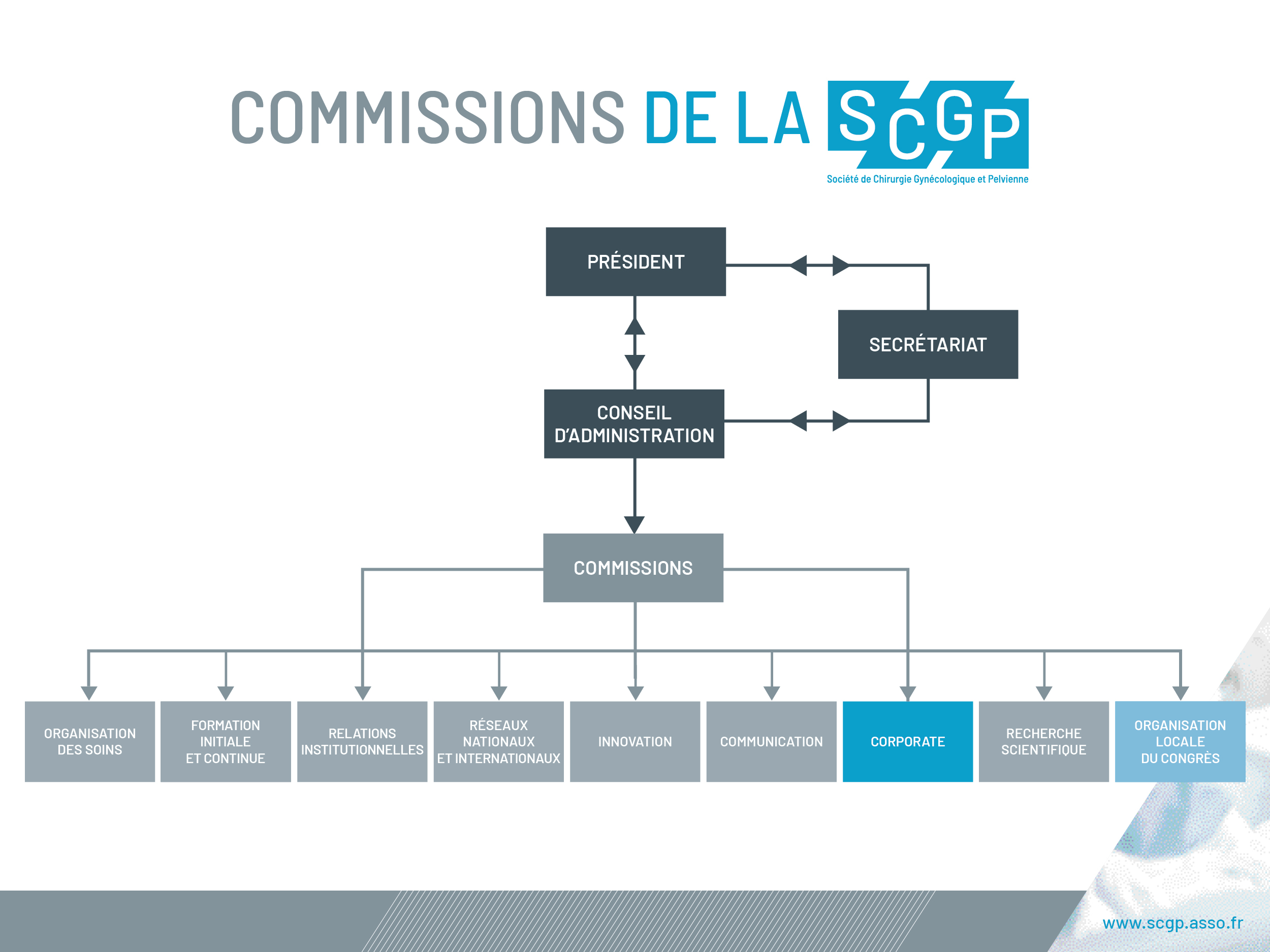 Organigramme de la SCGP